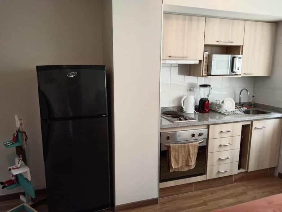Departamento Nuevo Tipo Estudio En Pleno Centro -8 Apartment Concepción Екстериор снимка