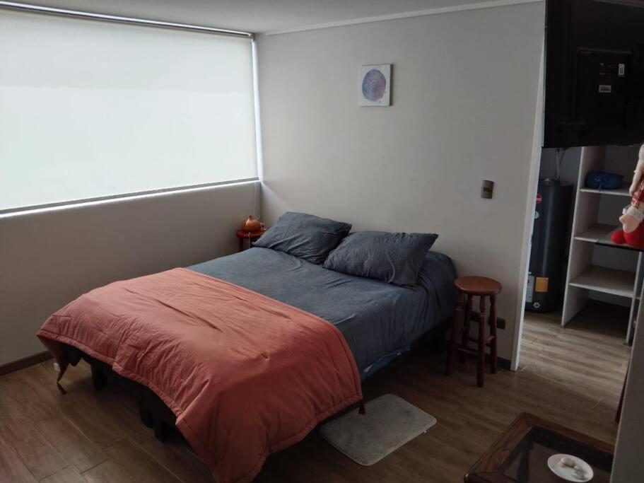 Departamento Nuevo Tipo Estudio En Pleno Centro -8 Apartment Concepción Екстериор снимка