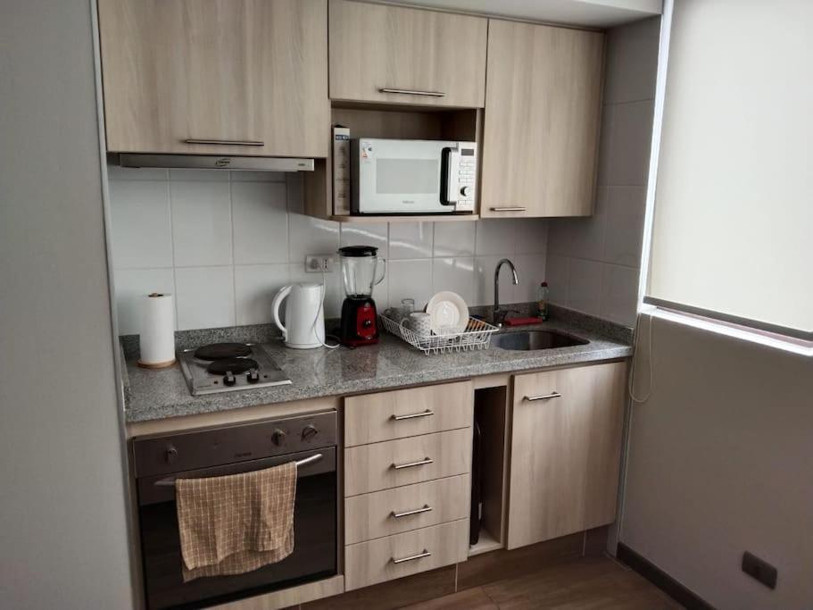 Departamento Nuevo Tipo Estudio En Pleno Centro -8 Apartment Concepción Екстериор снимка