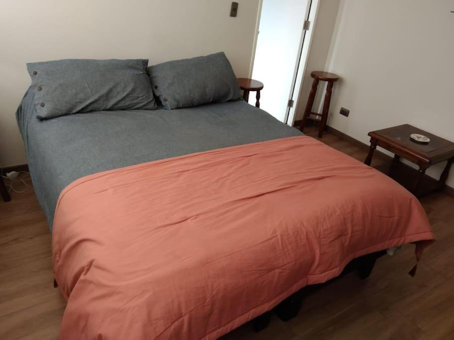 Departamento Nuevo Tipo Estudio En Pleno Centro -8 Apartment Concepción Екстериор снимка