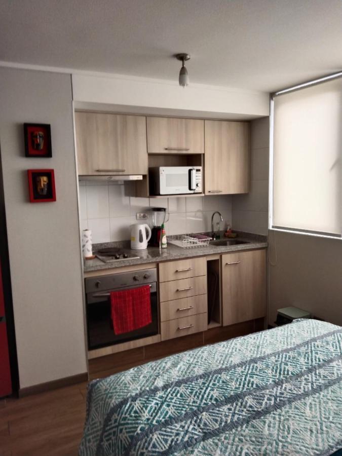 Departamento Nuevo Tipo Estudio En Pleno Centro -8 Apartment Concepción Екстериор снимка