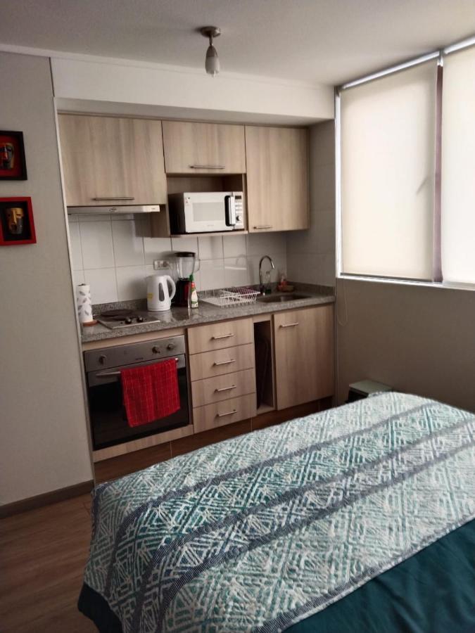 Departamento Nuevo Tipo Estudio En Pleno Centro -8 Apartment Concepción Екстериор снимка